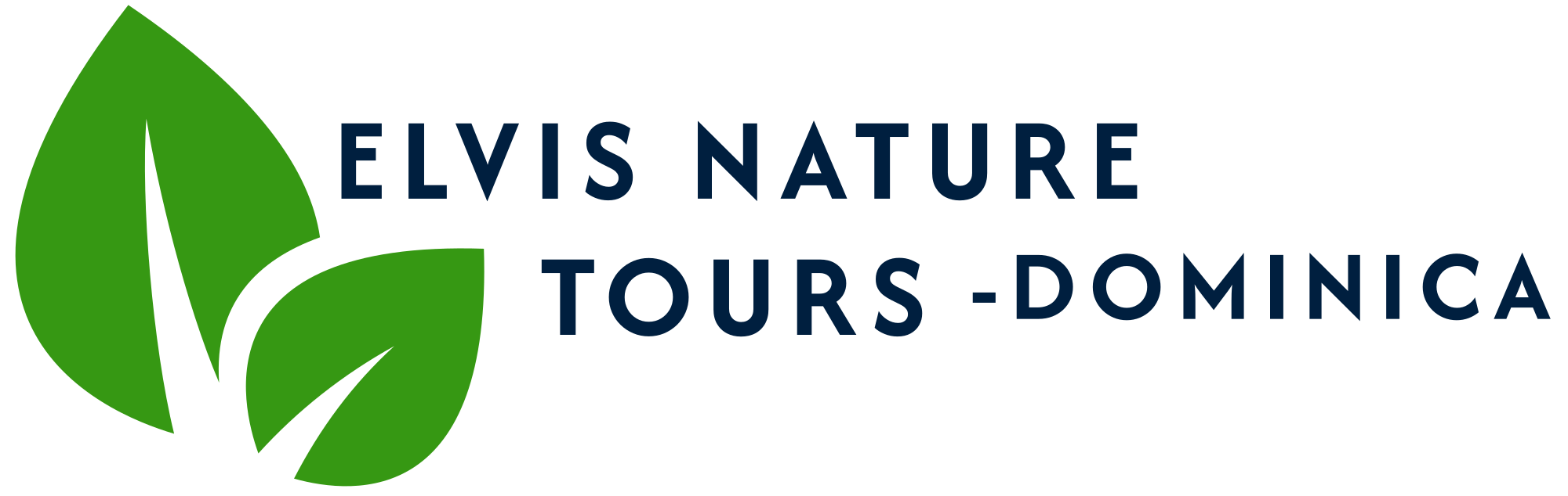 Elvis Nature Tours - Leading Tour Operator in Dominica