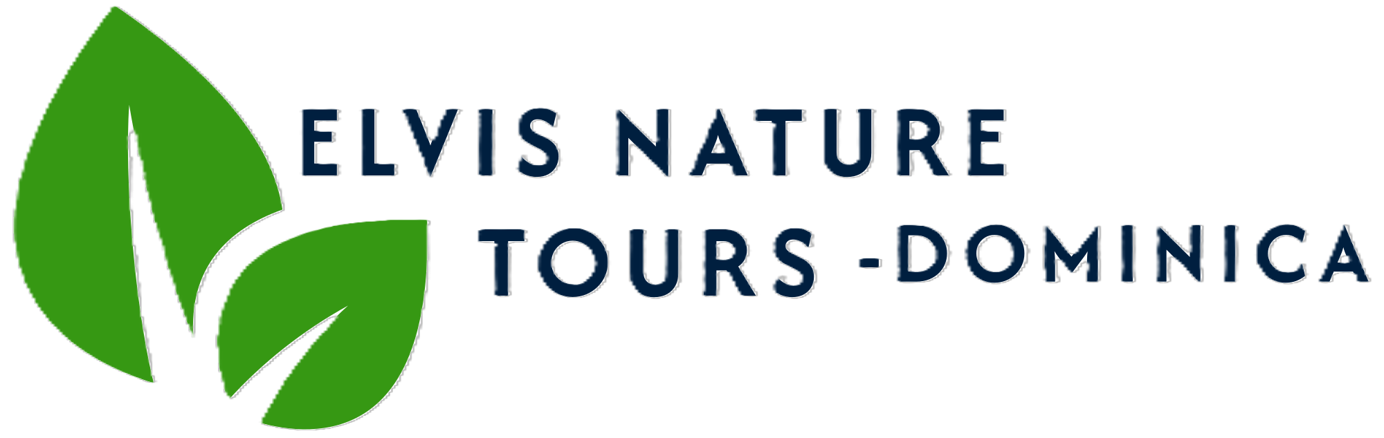 Elvis Nature Tours - Your Expert Guide to Dominica's Natural Wonders